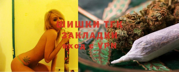 ПСИЛОЦИБИНОВЫЕ ГРИБЫ Вязьма
