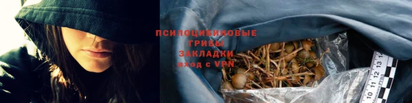 прущая мука Гусиноозёрск