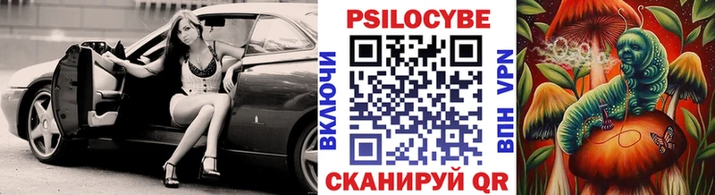 Псилоцибиновые грибы GOLDEN TEACHER  Майкоп 